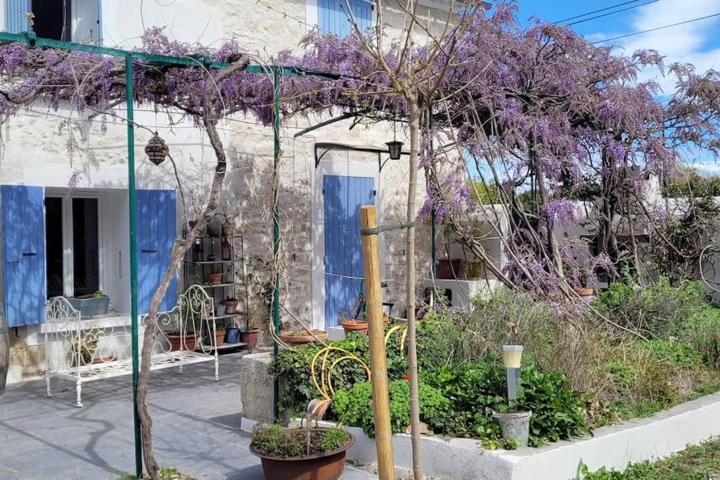 Location Appartement Dans Mas Provencal Monteux Esterno foto