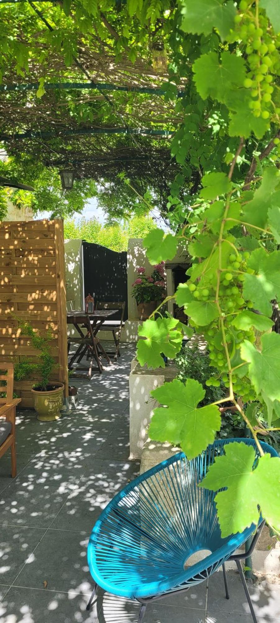 Location Appartement Dans Mas Provencal Monteux Esterno foto